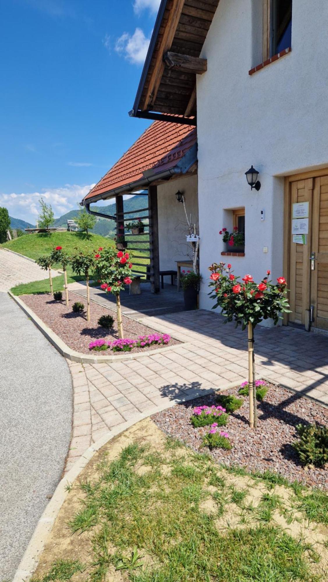 Relax Guest House Marjanca Rogaska Slatina Exterior photo